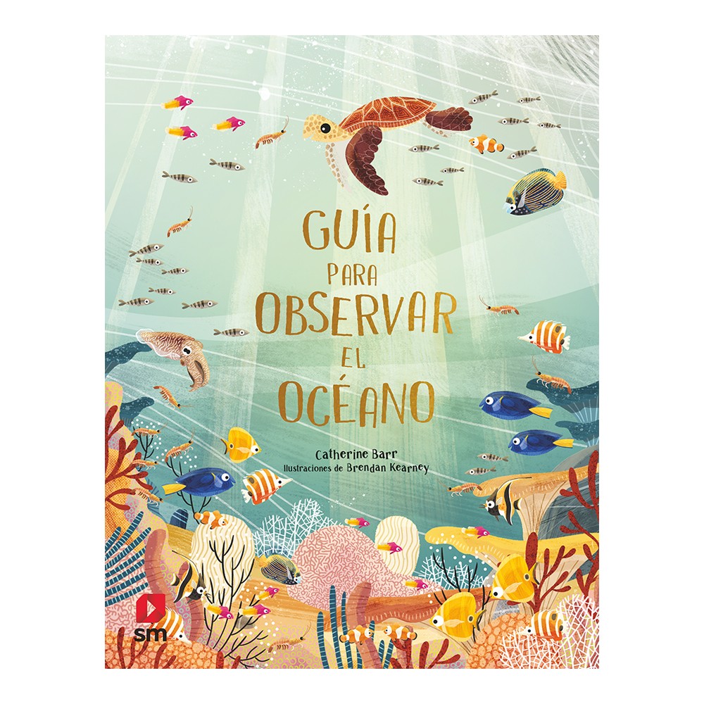 Guía para observar el océano