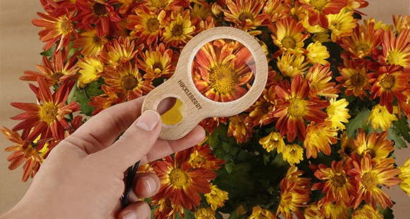 Explora la naturaleza